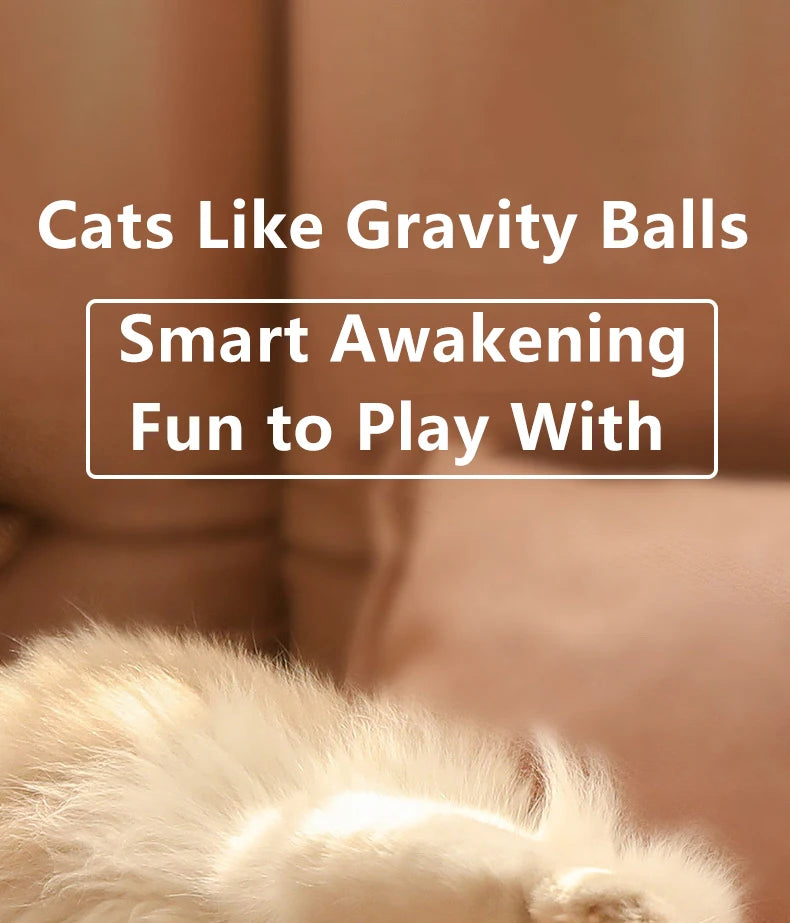 Smart Interactive Rolling Ball for Cats