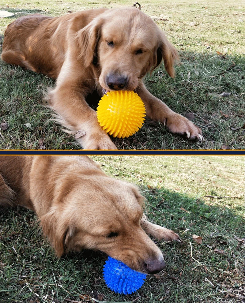 Squeaky Spiked TPR Chewing Ball for Pets