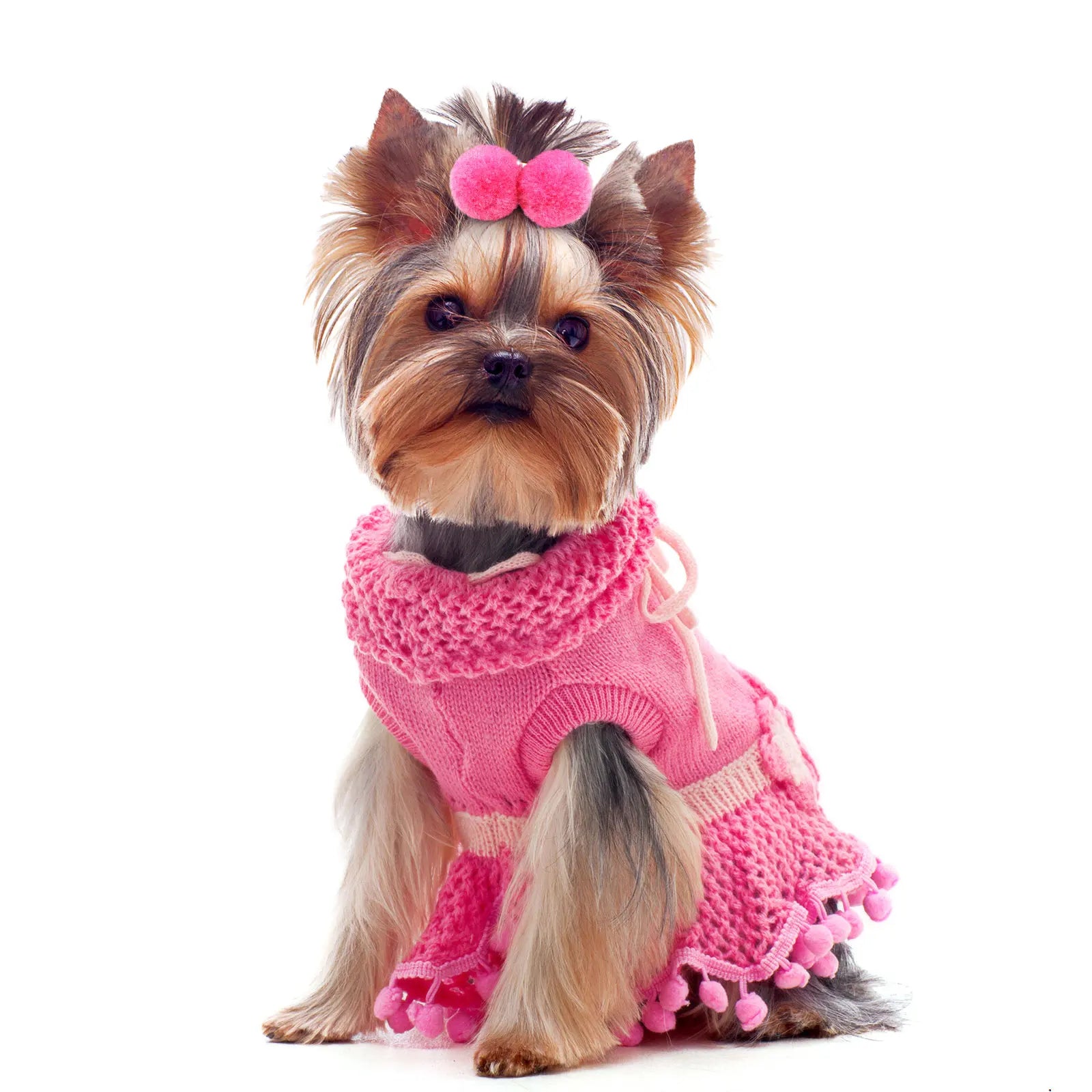 10pcs Pet Hair Bands with Plush Balls – Elastic Grooming Bows for Small and Medium Dogs and Cats