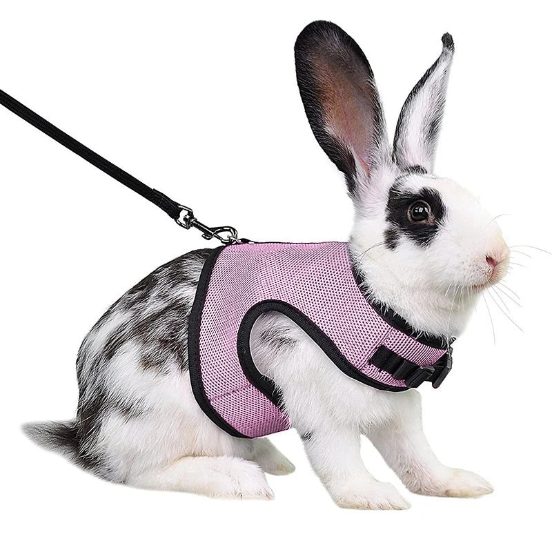 Mutil-Colors Breathable Stylish Vest Small Pet Carrier