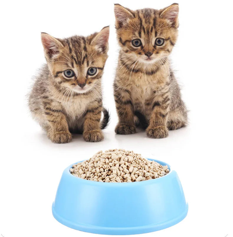 Stainless Steel Cat Litter Scoop with Fine Mesh
