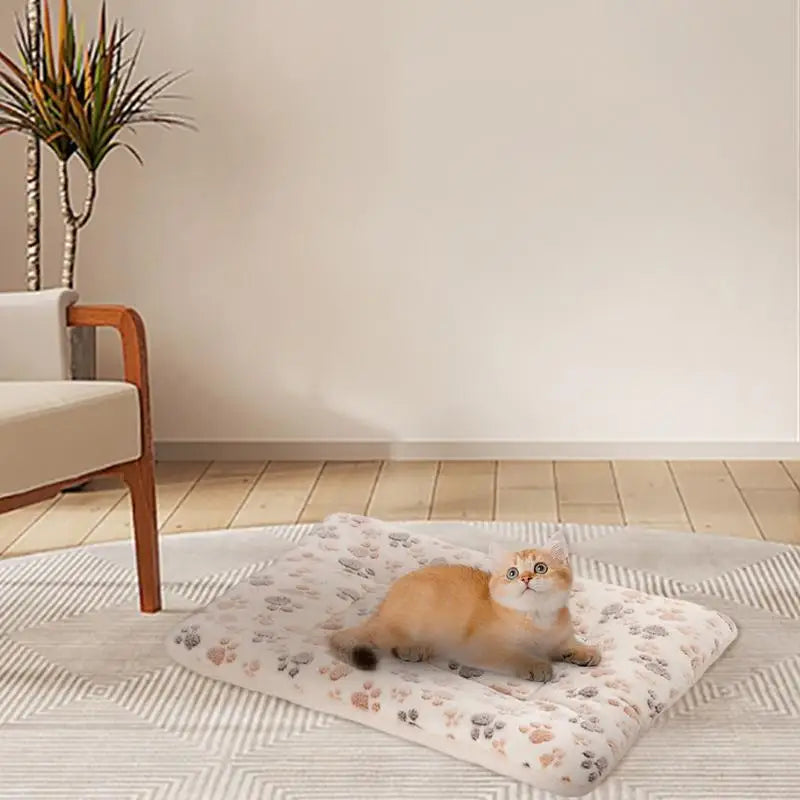 Thickened Pet Sleeping Mat & Soft Sleeping Bag