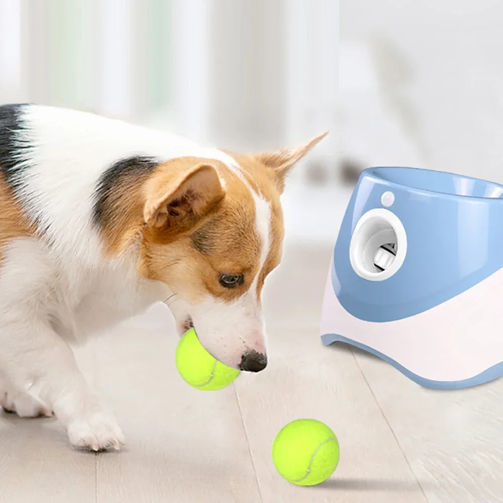 Automatic Ball Launcher for Dogs