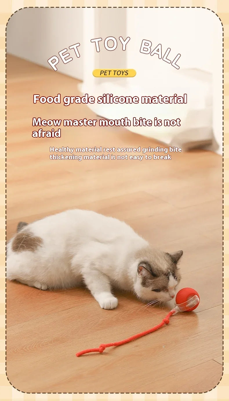 USB Rechargeable Interactive Rolling Cat Toy Ball