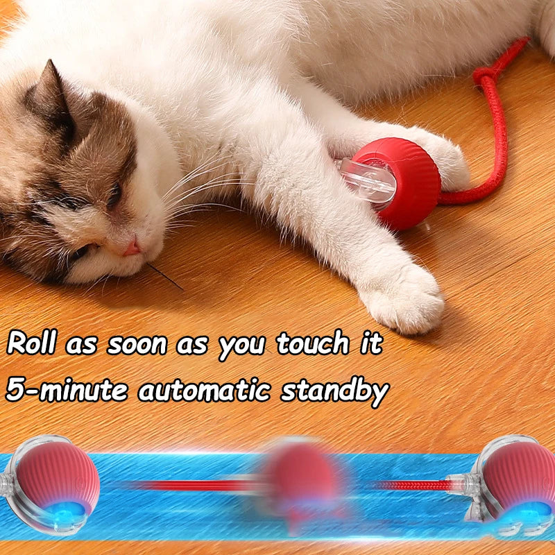 Automatic Interactive Ball Toys