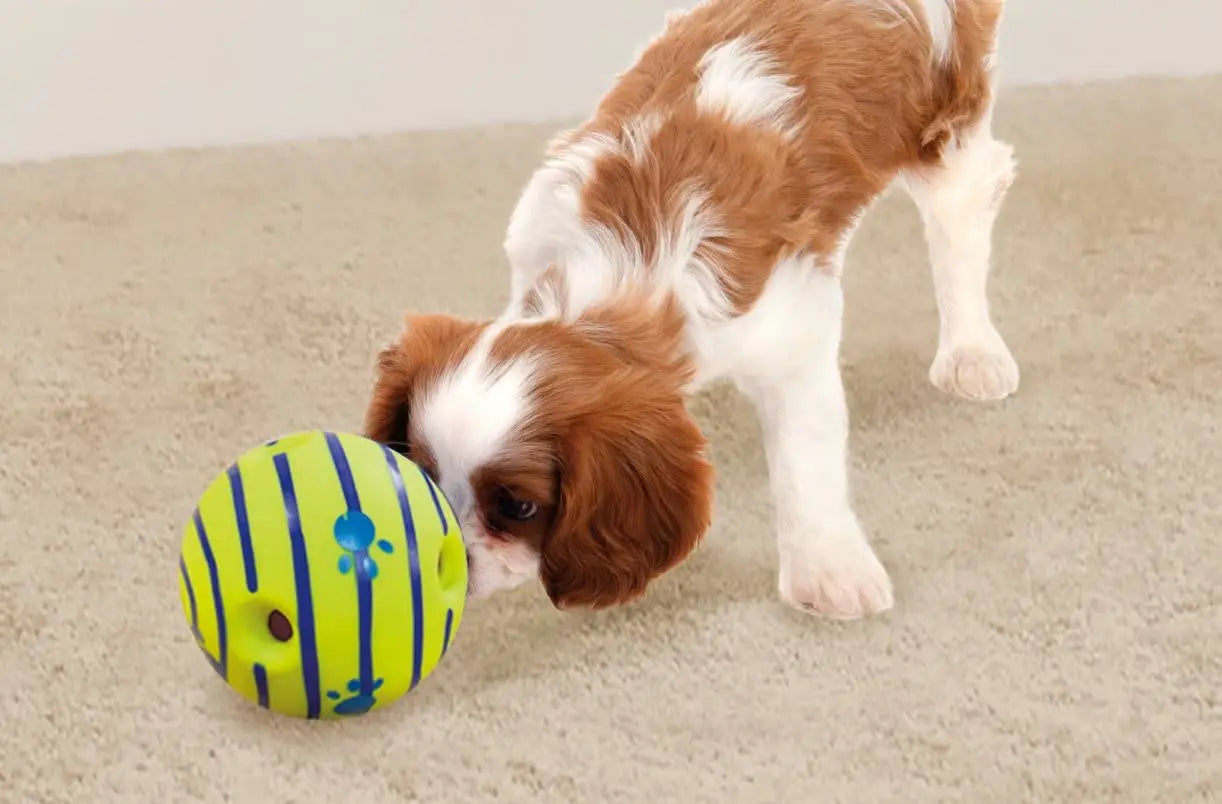 Wobble Wag Giggle Glow Ball Interactive Dog Toy