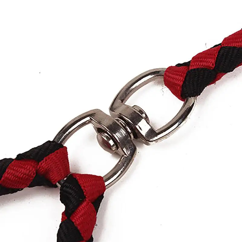 2-Way Elastic Double Dog Leash (1.4m)
