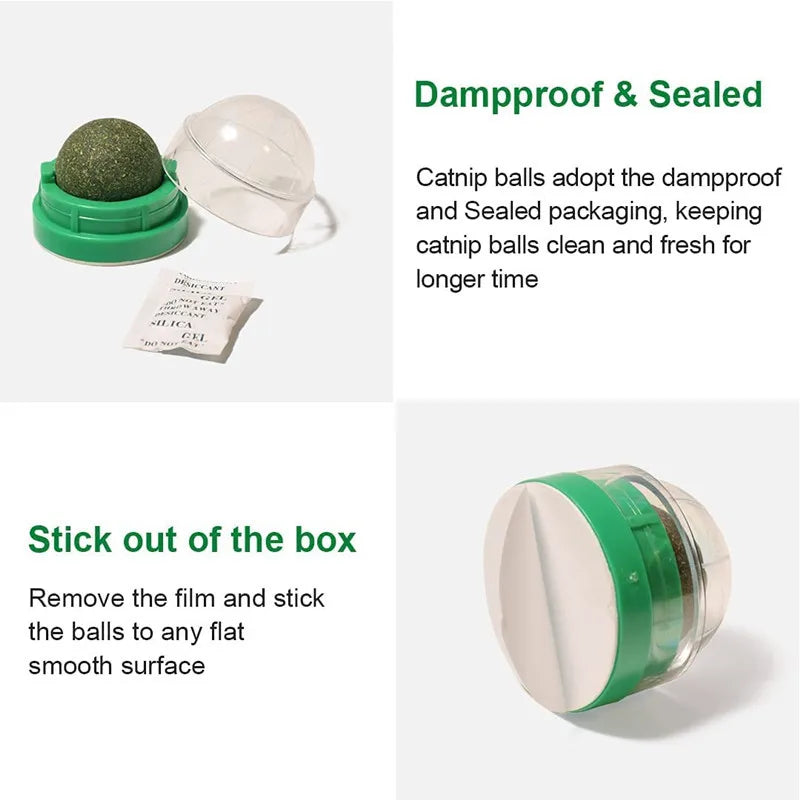 Natural Catnip Wall-Mounted Cat Ball