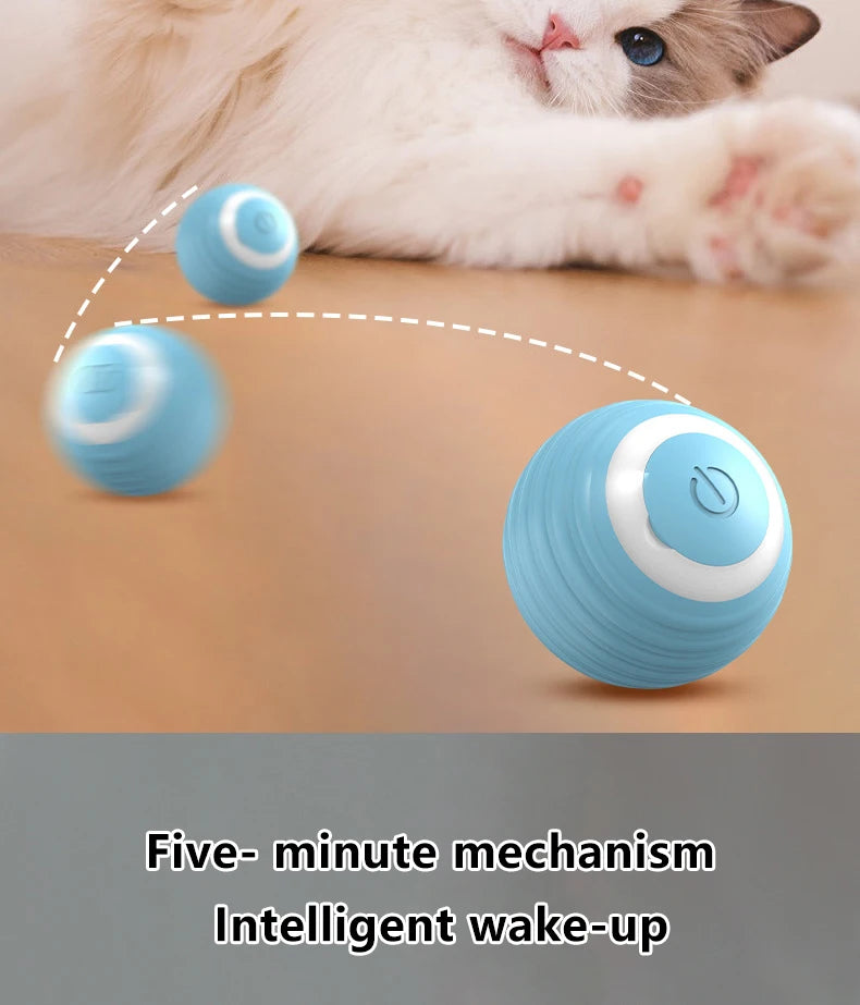 Smart Interactive Rolling Ball for Cats