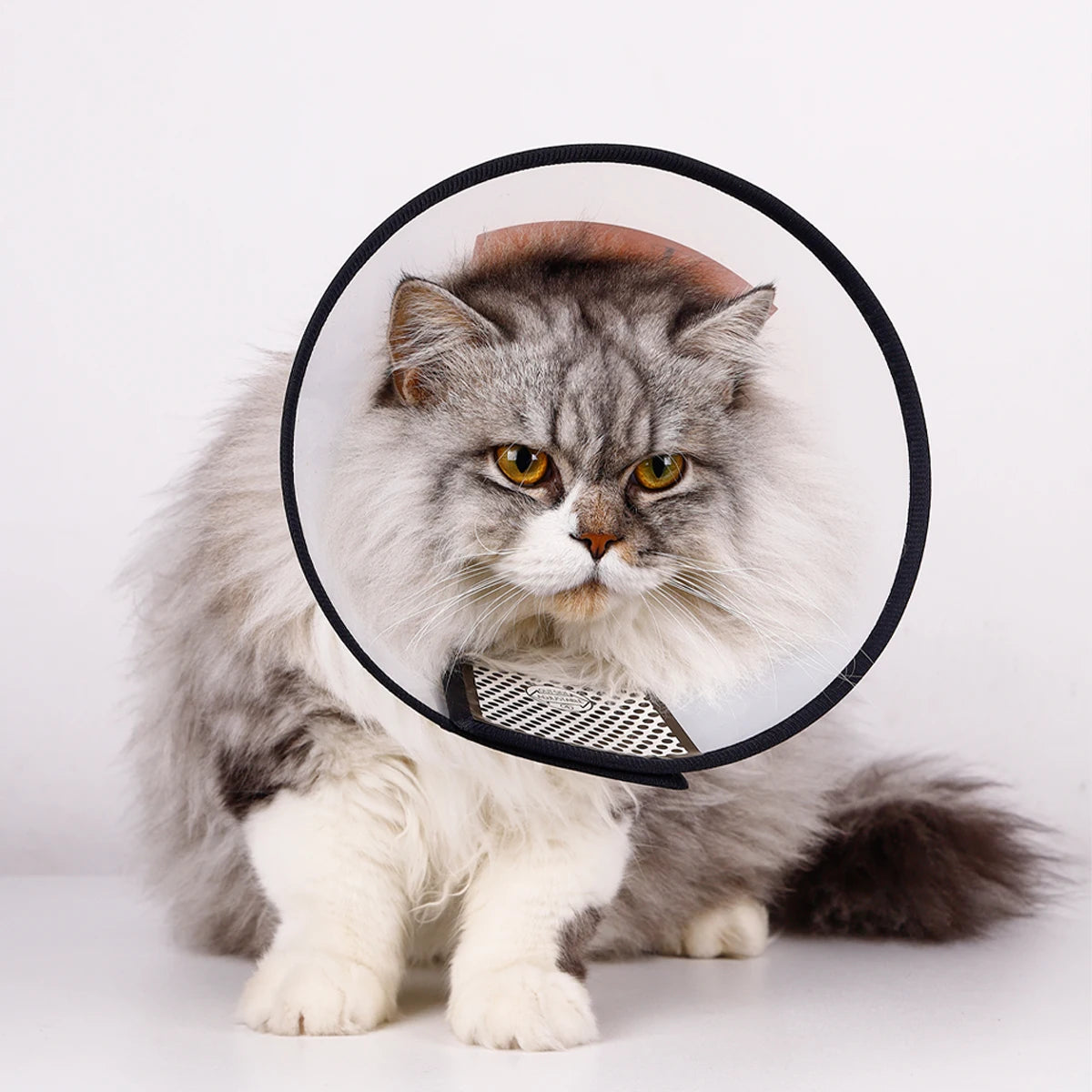 Pet Elizabethan Collar for Dogs