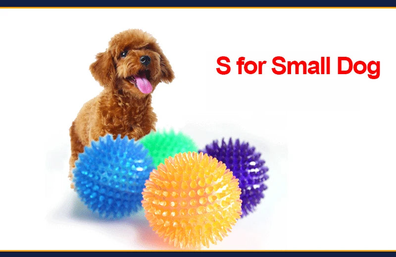 Squeaky Spiked TPR Chewing Ball for Pets