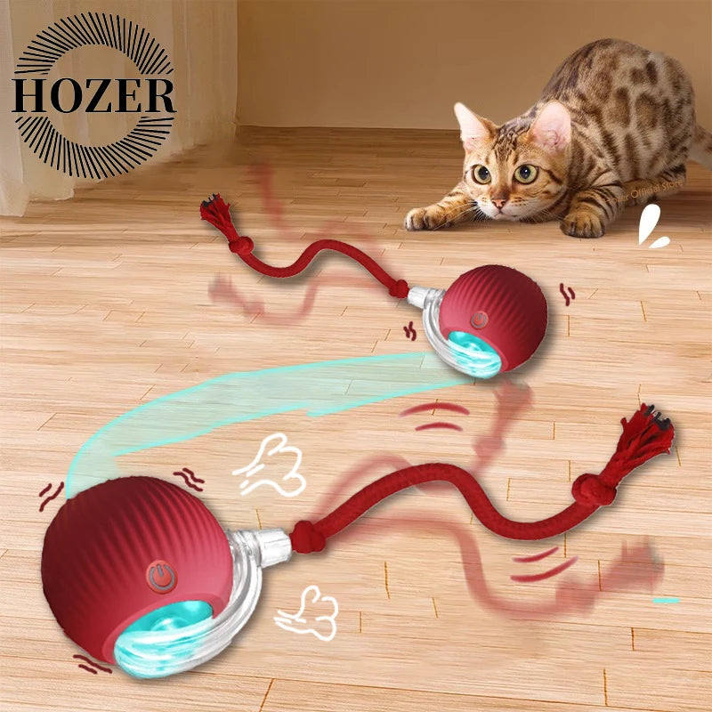 Automatic Interactive Ball Toys