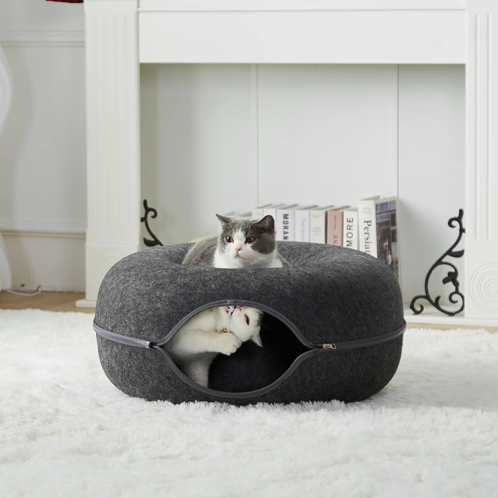 Spacious Peekaboo Cat Cave