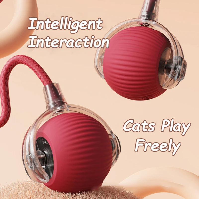 Automatic Interactive Ball Toys