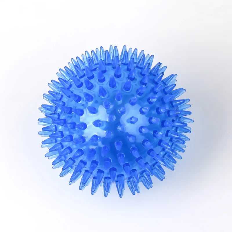 Squeaky Spiked TPR Chewing Ball for Pets