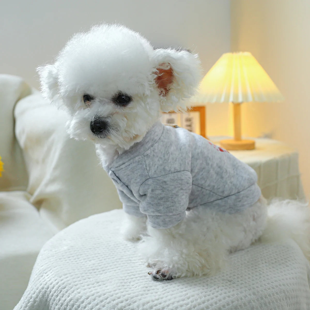 1PC Pet Clothing Dog Cat Valentine's Day Red Love Coat with Drawstring Buckle, Suitable for Small and Medium sized Dogs
