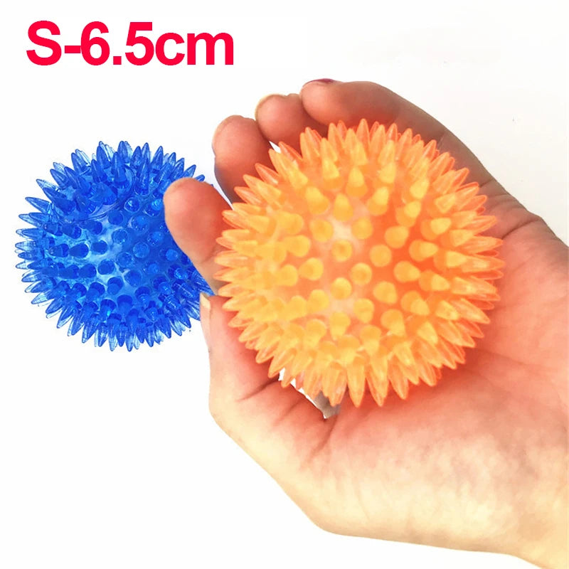 Squeaky Spiked TPR Chewing Ball for Pets