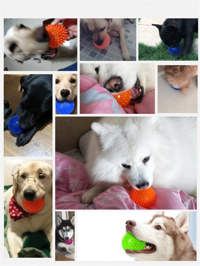 Squeaky Spiked TPR Chewing Ball for Pets