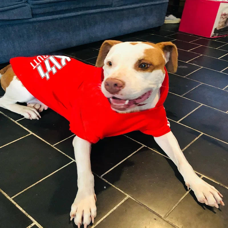 Velvet Warm Dog Hoodie – Cozy Sweaters for Large, Medium, and Small Dogs