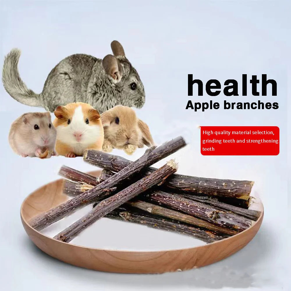 Molar Stick Apple Twig Rabbit Dutch Pig Snack Chewing Toy
