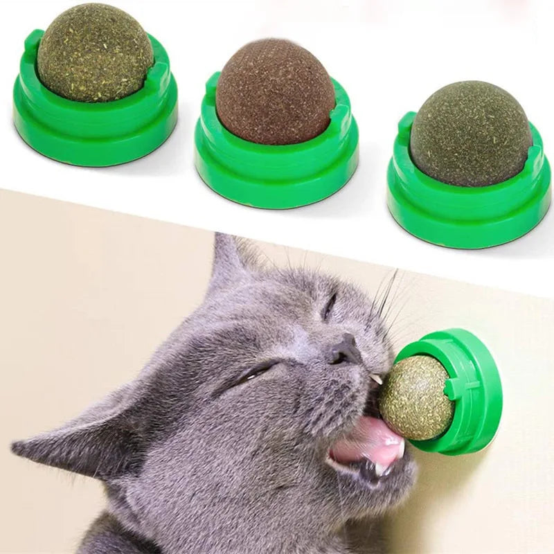 Natural Catnip Wall-Mounted Cat Ball
