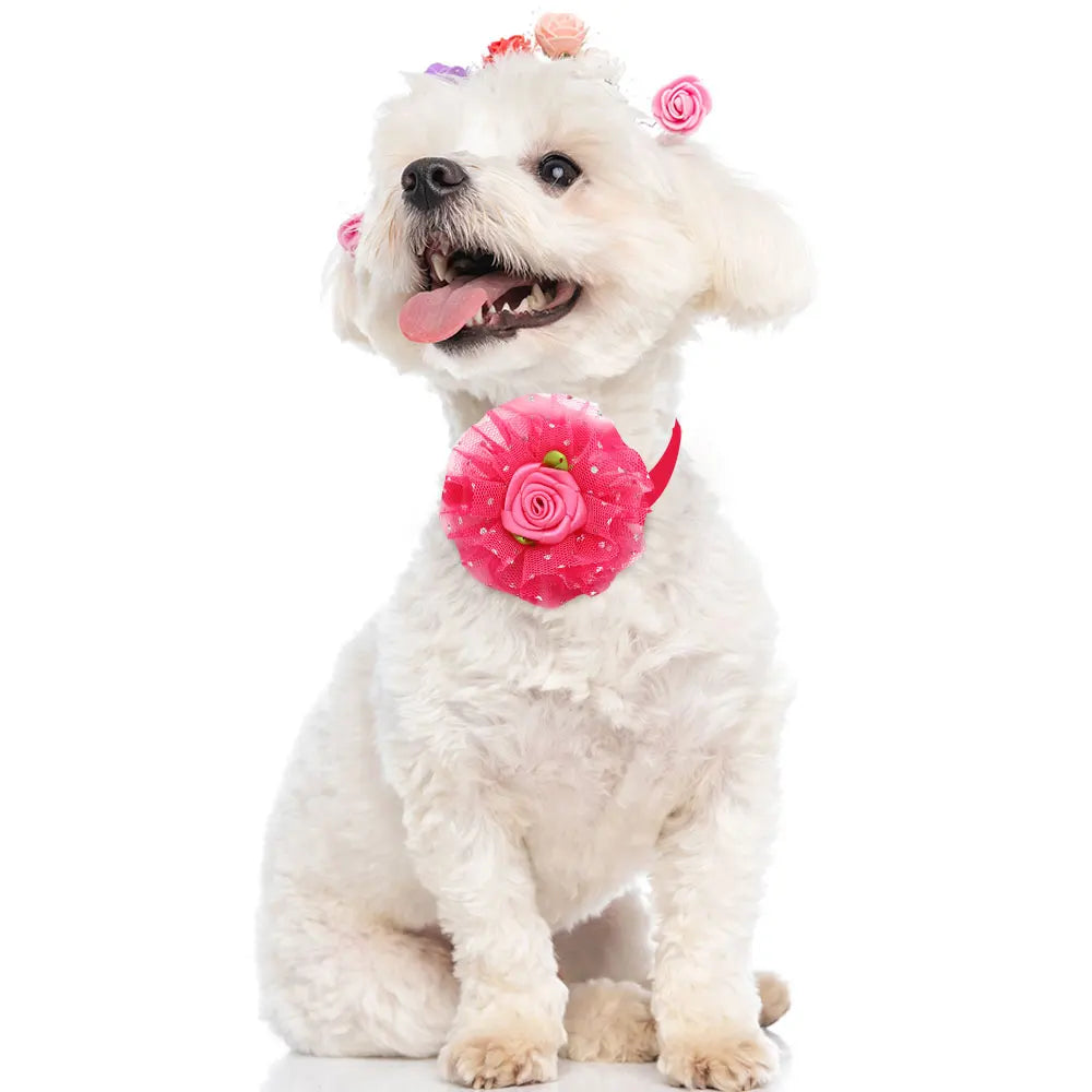 20pcs Valentine’s Day Pet Bowties and Neckties – Lace Rose Love Style Accessories for Dogs and Cats