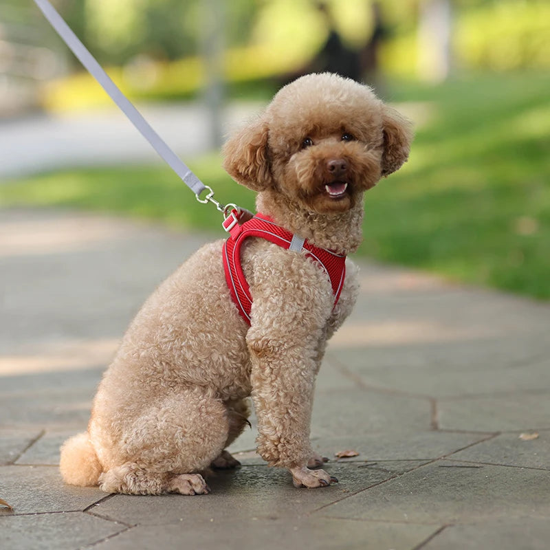 Product Description: Adjustable Dog Harness & Leash Set for Small Dogs
