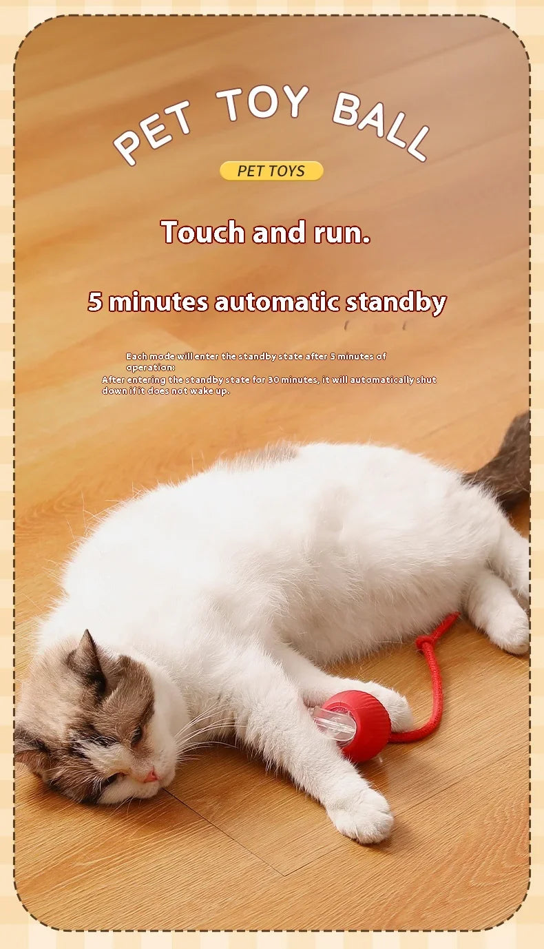 USB Rechargeable Interactive Rolling Cat Toy Ball