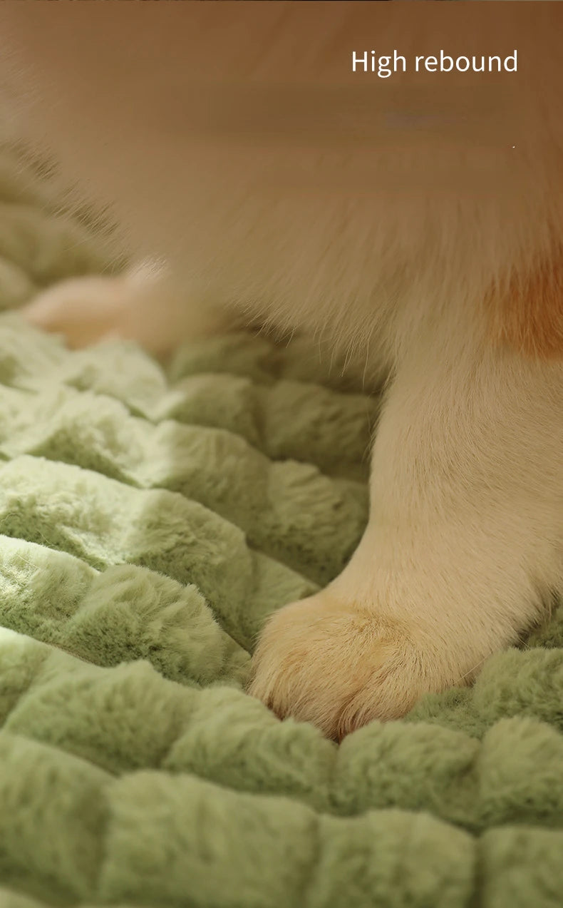 MADDEN Winter Warm Dog Mat & Luxury Pet Sofa