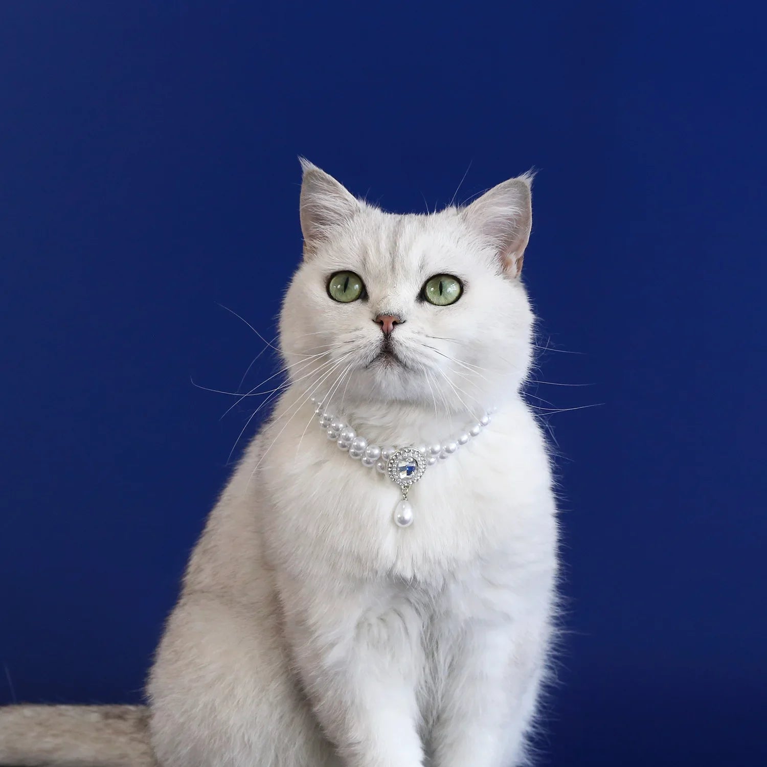 Adjustable Pet Pearl Necklace Jewelry Diamond Pendant