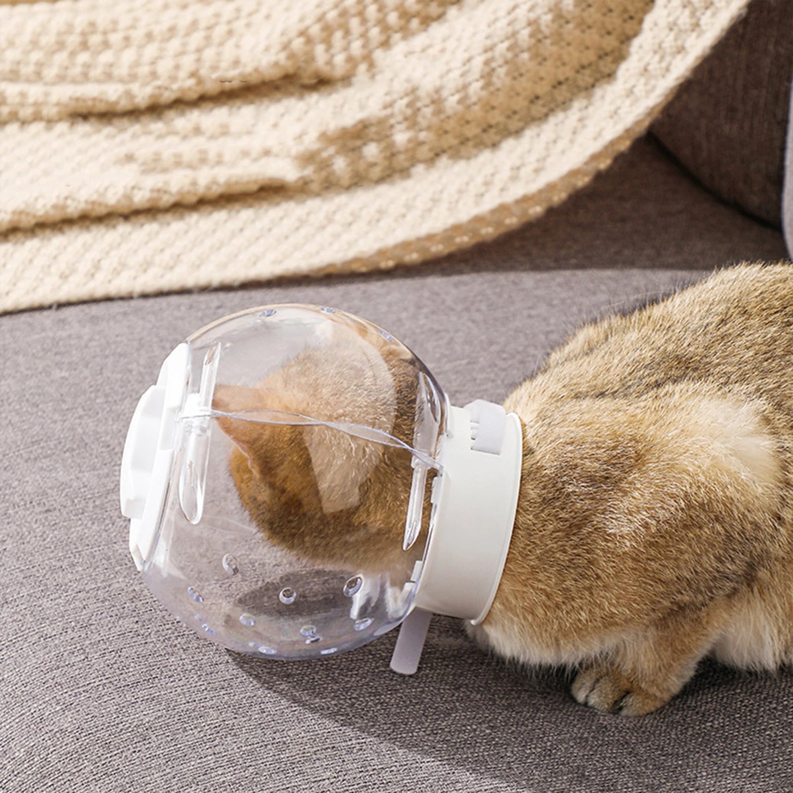 Breathable Cat Muzzle – Protective Grooming Hood for Safe and Stress-Free Care