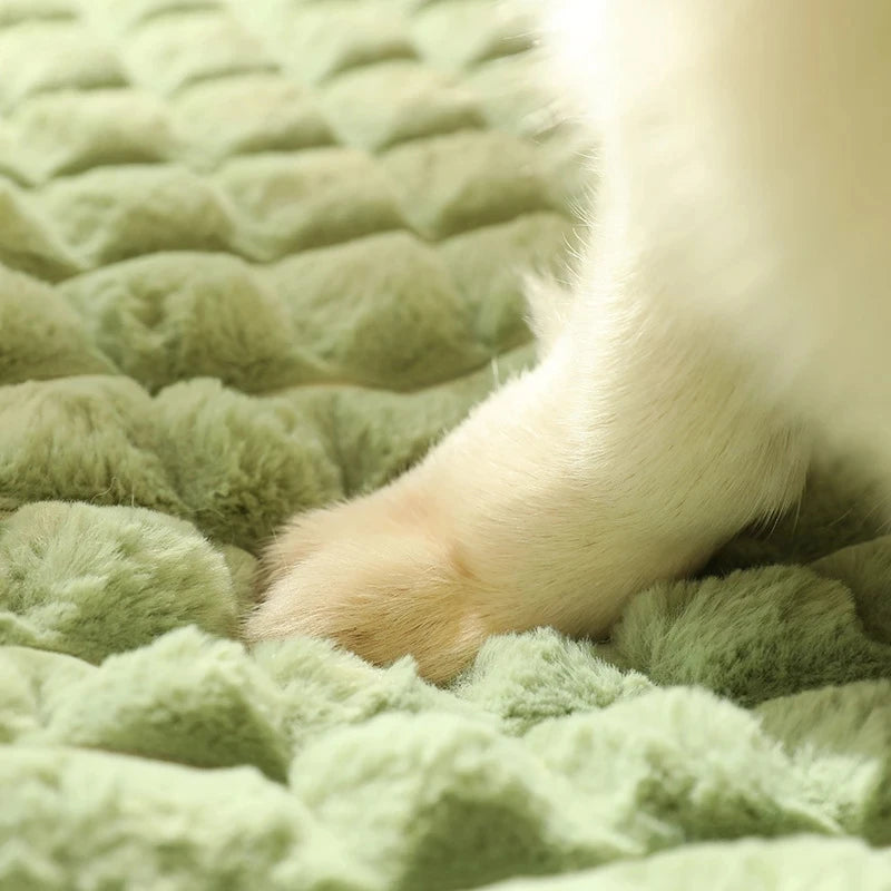 MADDEN Winter Warm Dog Mat & Luxury Pet Sofa