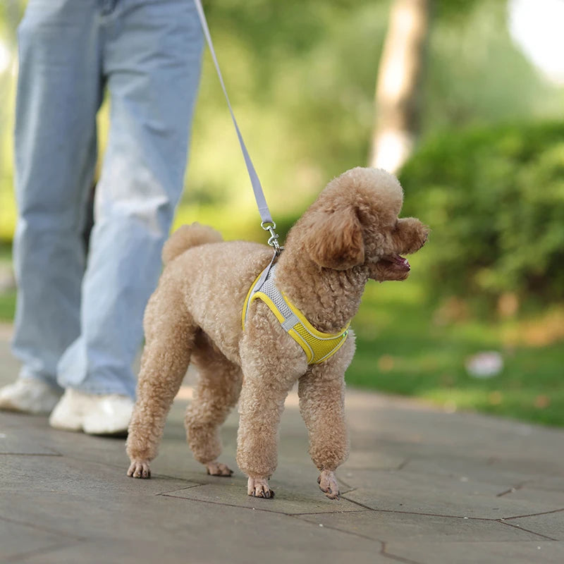 Product Description: Adjustable Dog Harness & Leash Set for Small Dogs