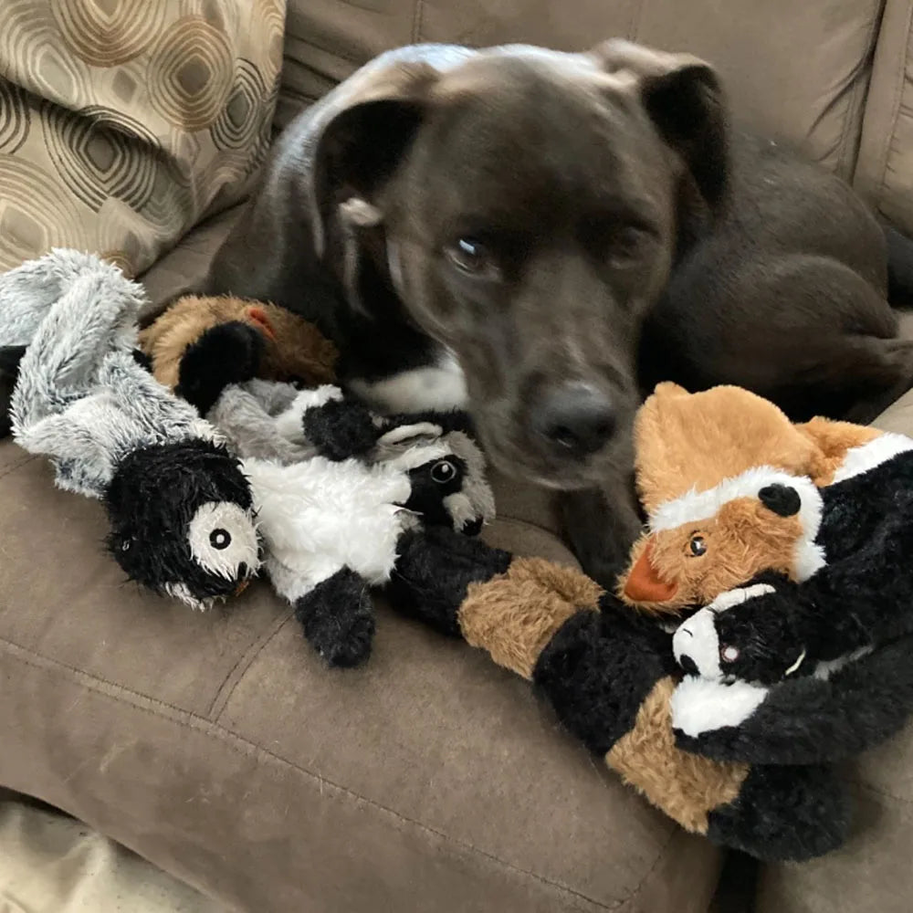 Stuffing-Free Animal Plush Dog Toy with Squeakers