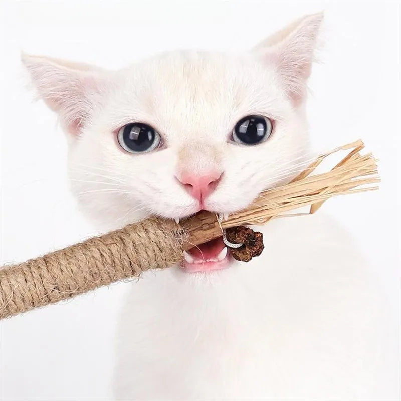 Wooden Polygonum Stick Bite Combination New Cat Toy
