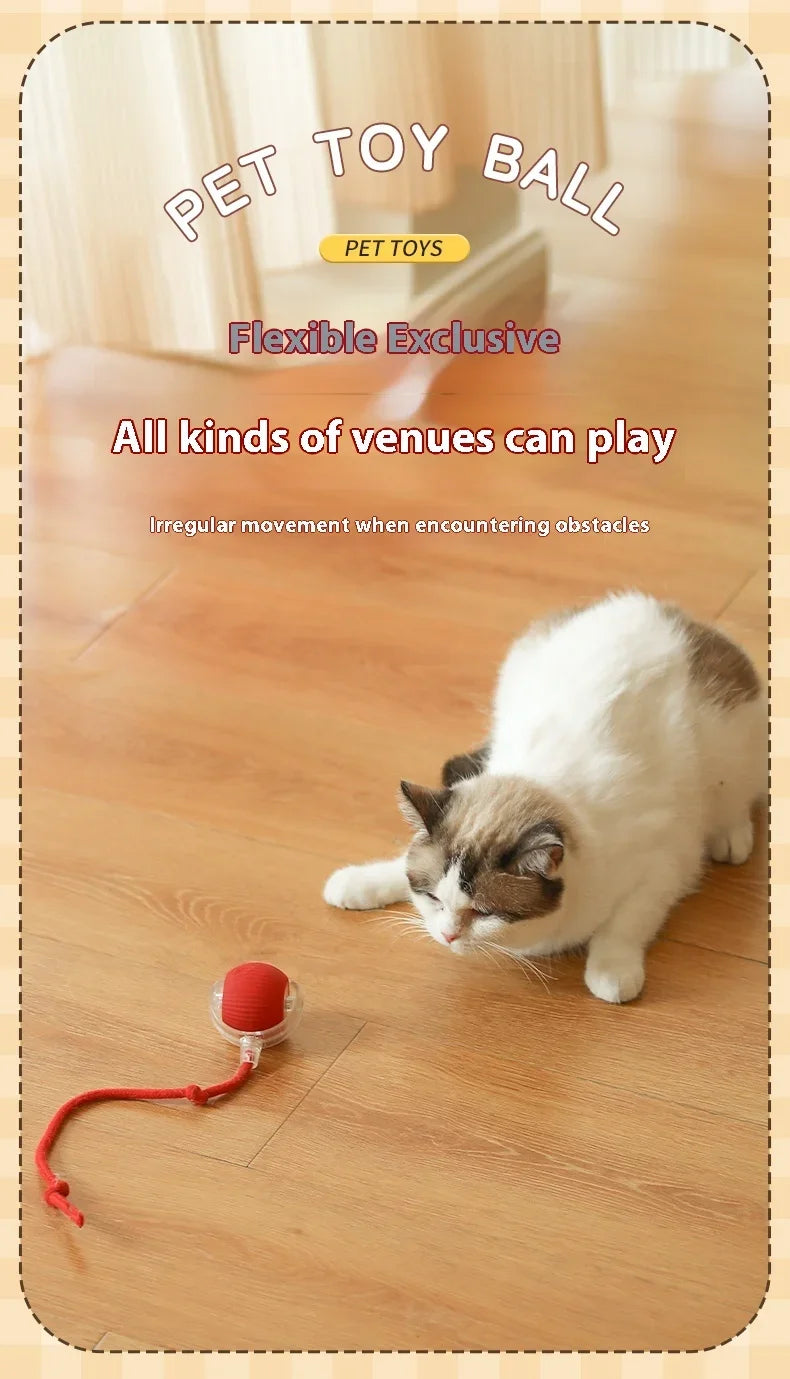 USB Rechargeable Interactive Rolling Cat Toy Ball
