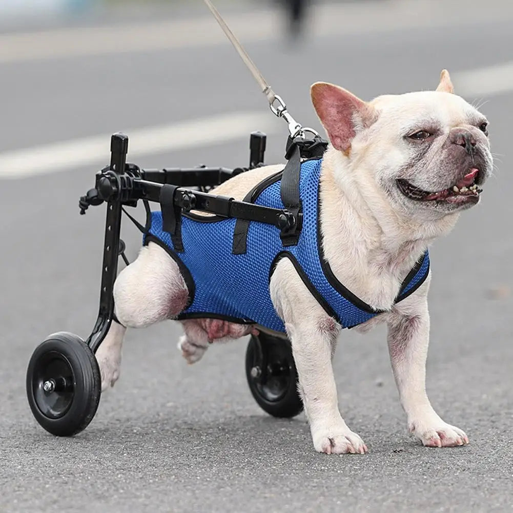 Adjustable Hind Leg Pet Wheelchair