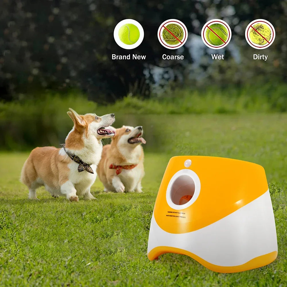 Automatic Ball Launcher for Dogs