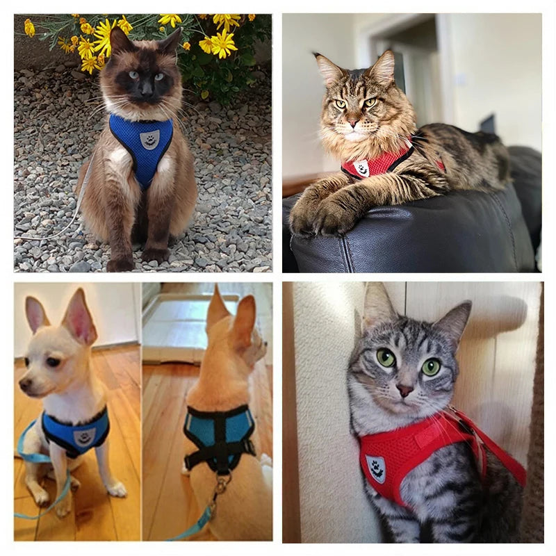 Adjustable Cat & Dog Harness Vest with Traction Rope Set
