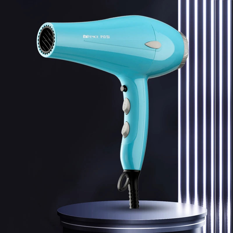 Fenice High-Power Pet Hair Dryer – Silent Water Blower for Quick Drying Dogs and Cats