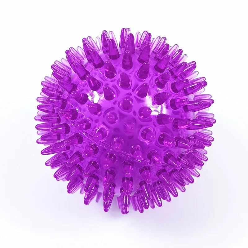 Squeaky Spiked TPR Chewing Ball for Pets