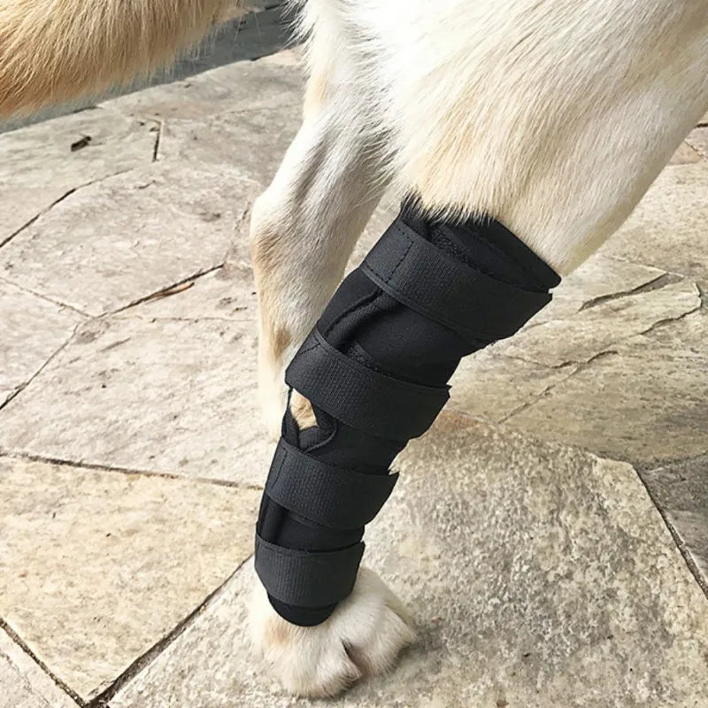 Dog Leg and Knee Pads – Recovery Bandage and Joint Protector for Wounds and Arthritis