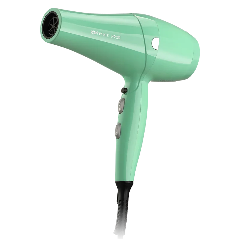 Fenice High-Power Pet Hair Dryer – Silent Water Blower for Quick Drying Dogs and Cats
