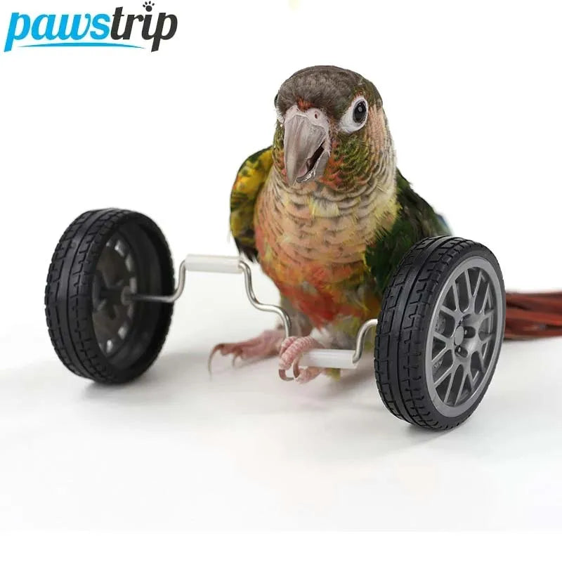 Creative Parrot Balance Toy