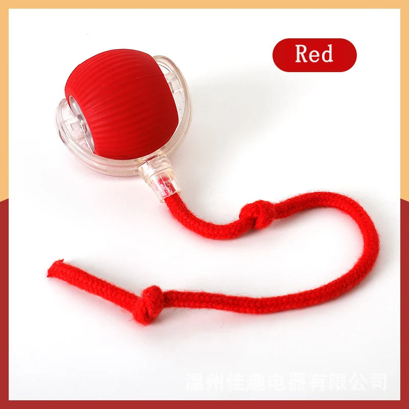 USB Rechargeable Interactive Rolling Cat Toy Ball