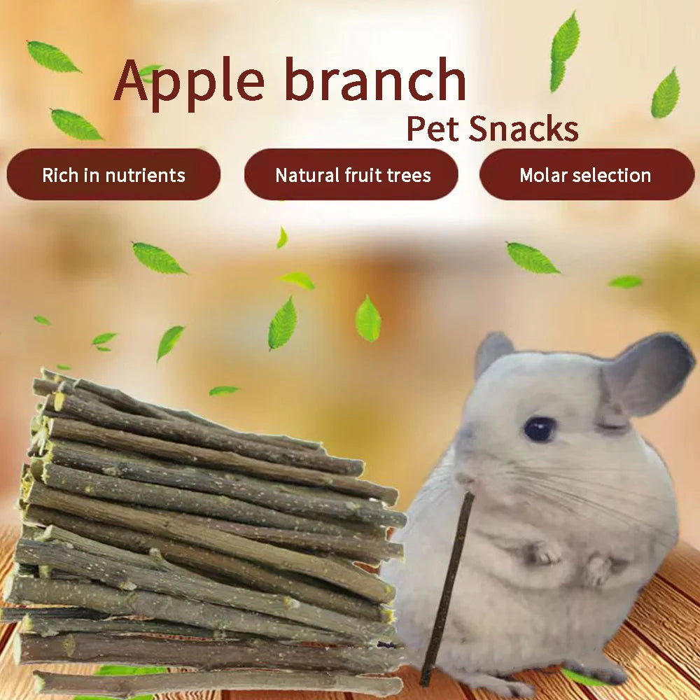 Molar Stick Apple Twig Rabbit Dutch Pig Snack Chewing Toy