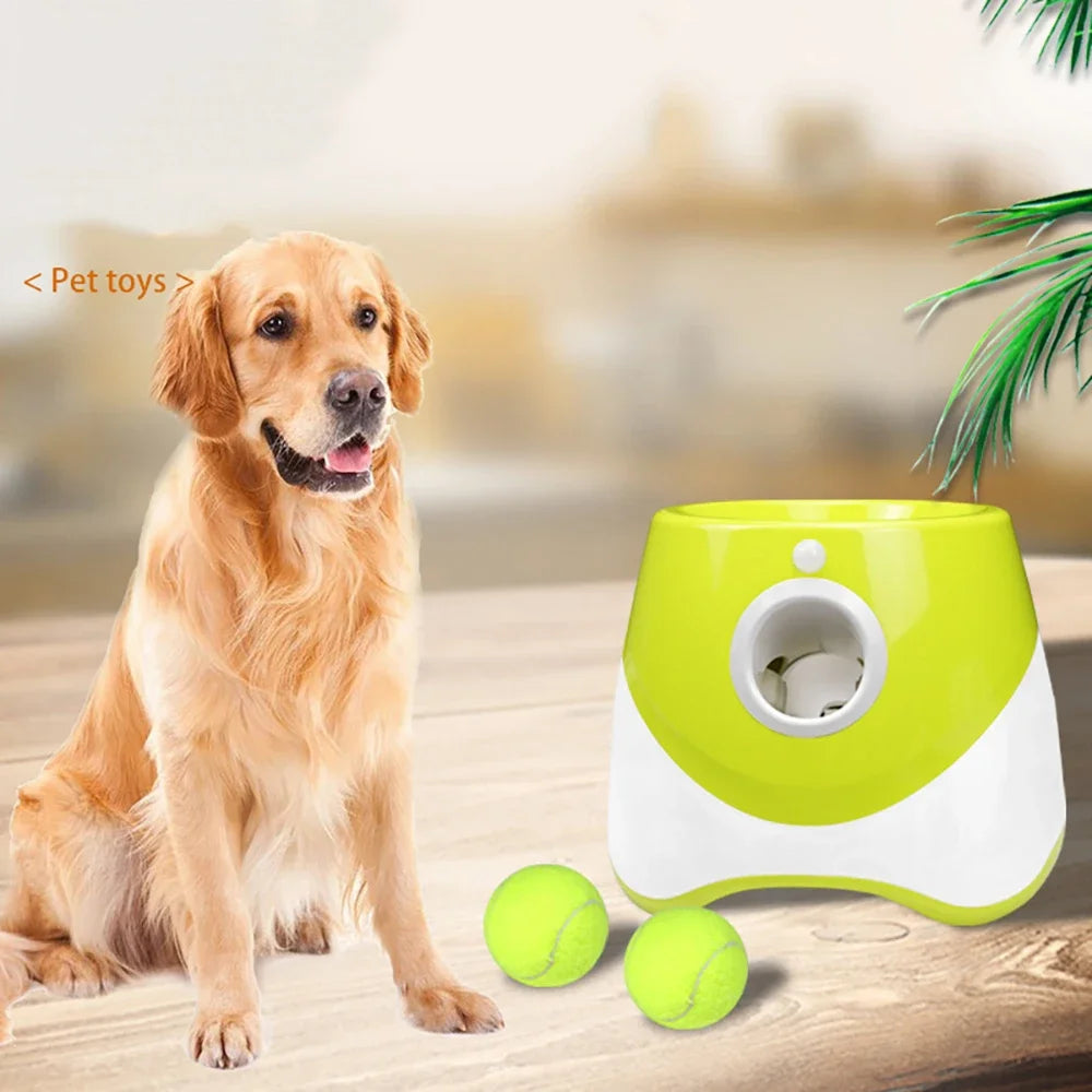 Automatic Ball Launcher for Dogs
