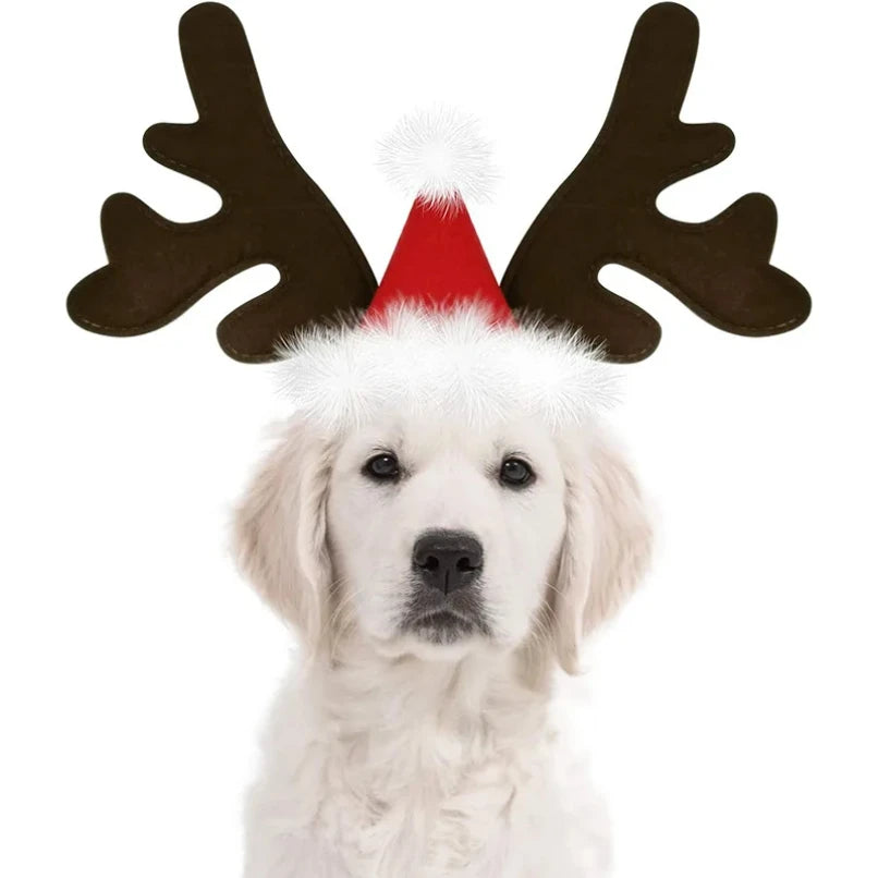 Elk Reindeer Antlers Christmas Dog Headband