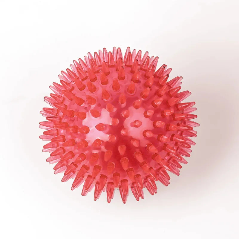 Squeaky Spiked TPR Chewing Ball for Pets