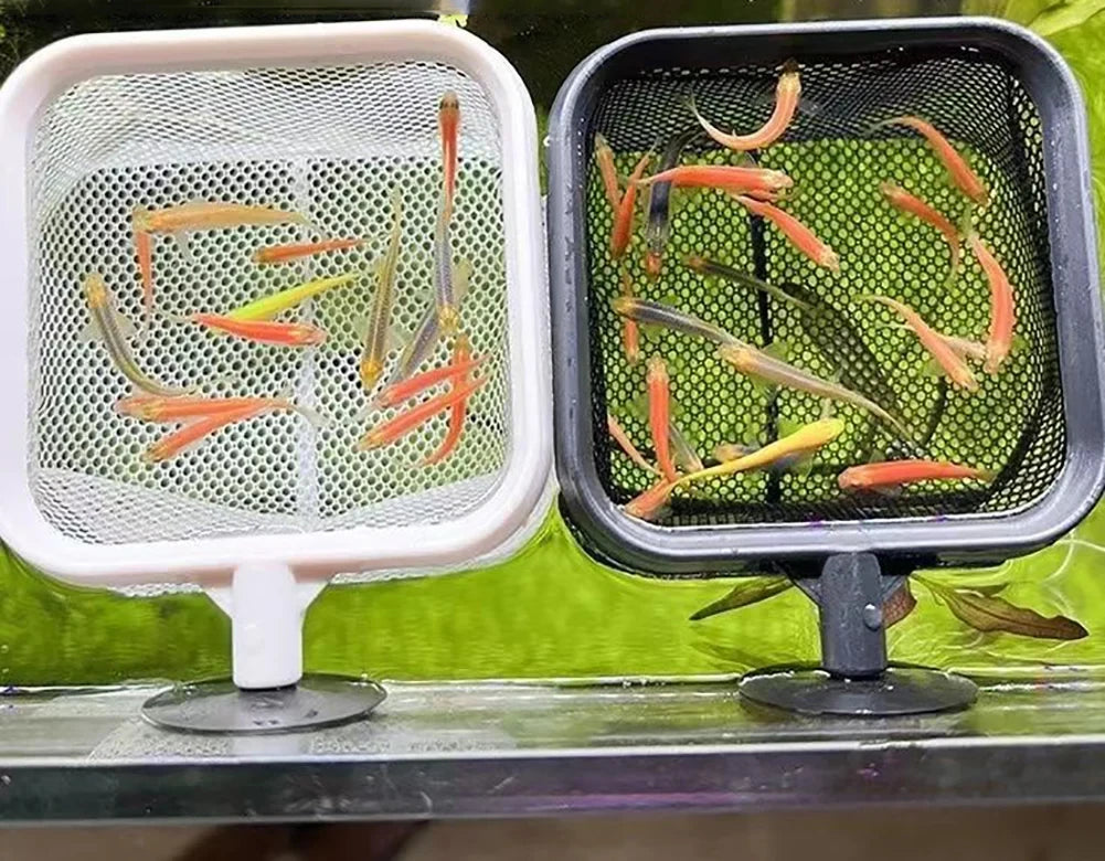 Aquarium Square Fishing Net with Suction Cup & Extendable Handle